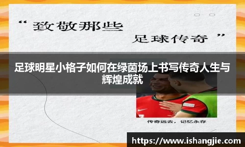 jbo竞博.体育官方网站